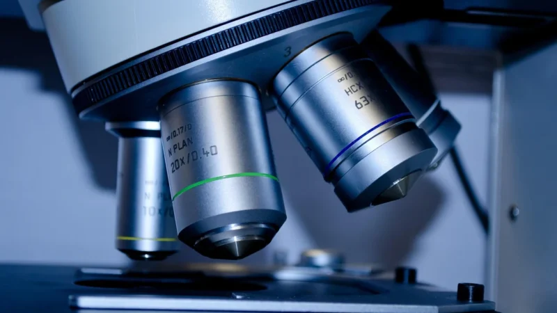 Interpretacja wyników histopatologicznych po biopsji